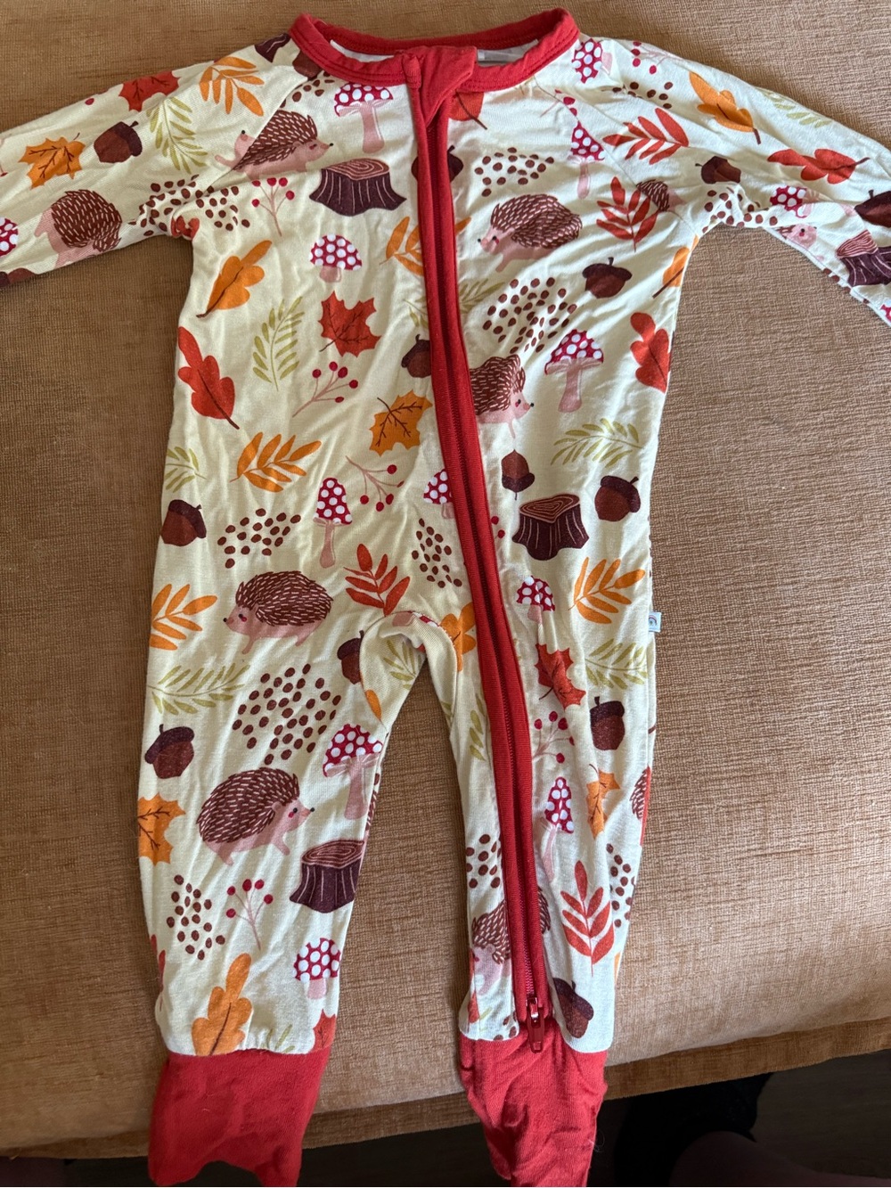 Cream One-Piece Baby Bodysuit with Autumn Hedgehog Print and Red Trim